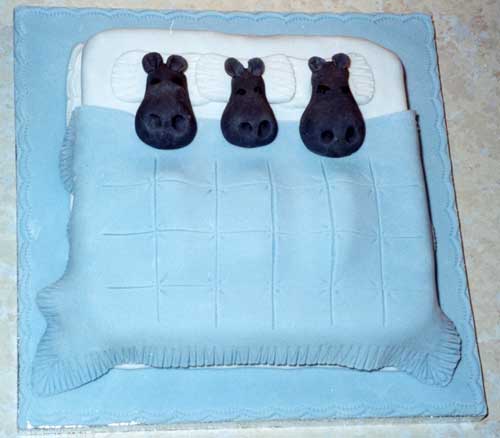 The hippo family in bed.