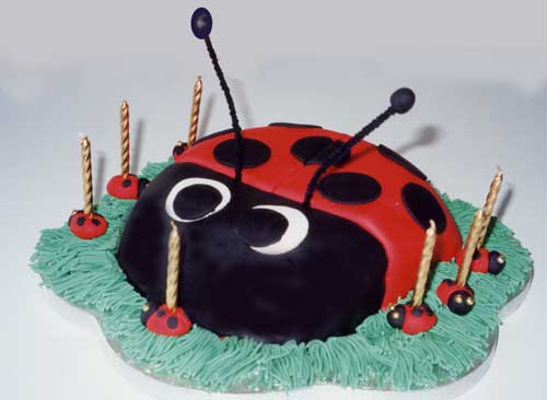 A chocolate sponge ladybird on icing 'grass'.